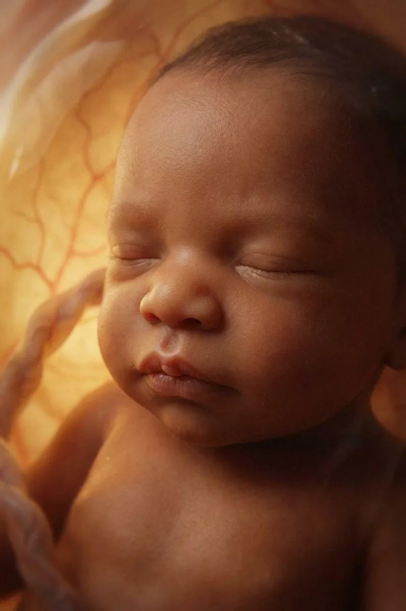 Artistic AI portrait of a baby in the womb