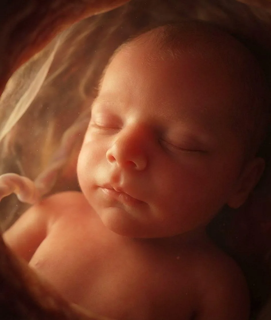 AI portrait of a baby in the womb