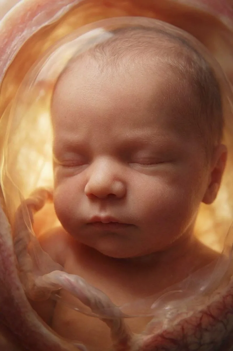 AI portrait of a baby in the womb